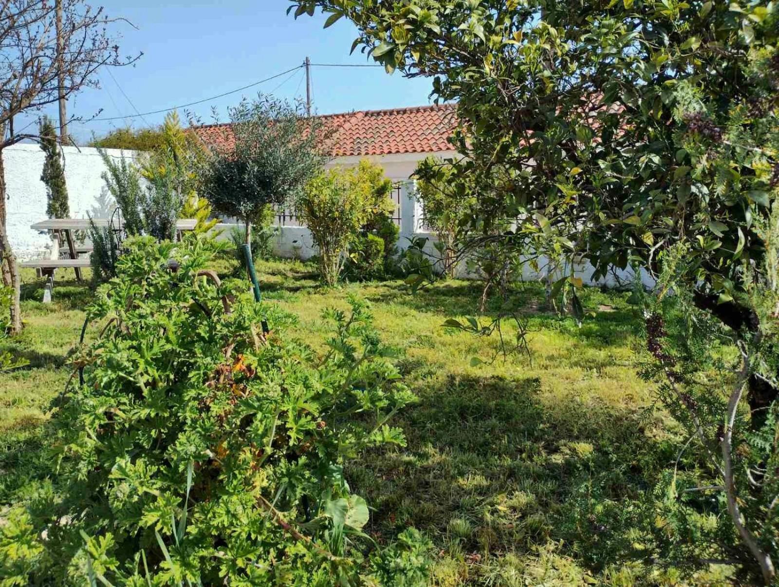 Nafplio Cottage-Grandma'S Yard Aszíni Kültér fotó